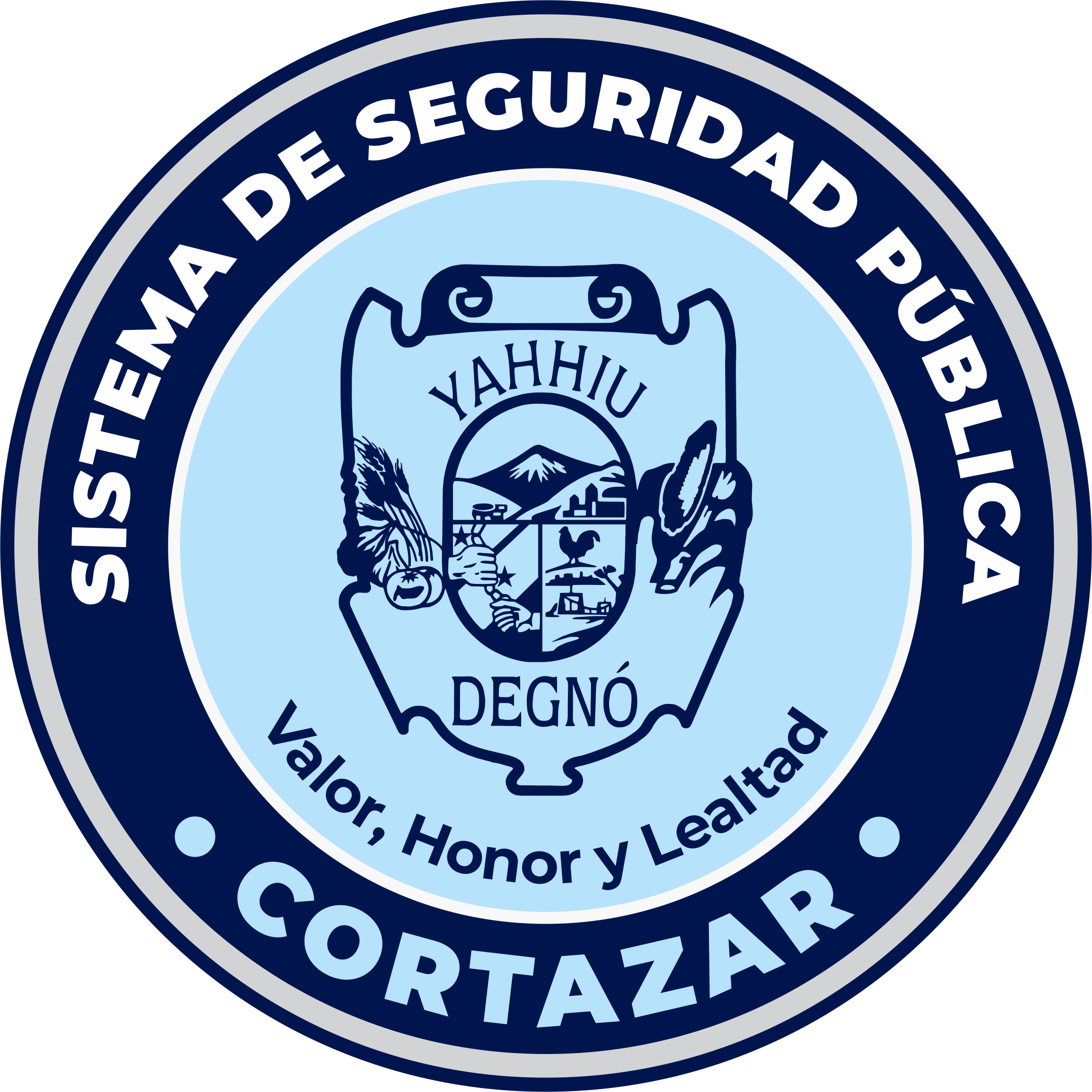 Sistema Municipal de Seguridad Pública